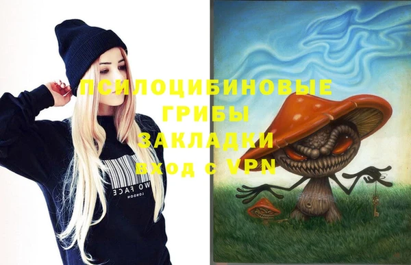 PSILOCYBIN Домодедово