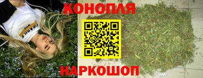 гидропоника Краснодар