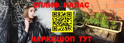 ECSTASY Краснознаменск