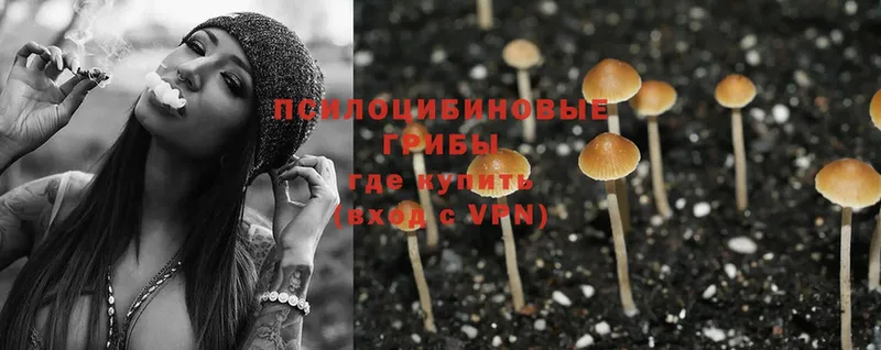 Псилоцибиновые грибы Psilocybine cubensis  Дюртюли 