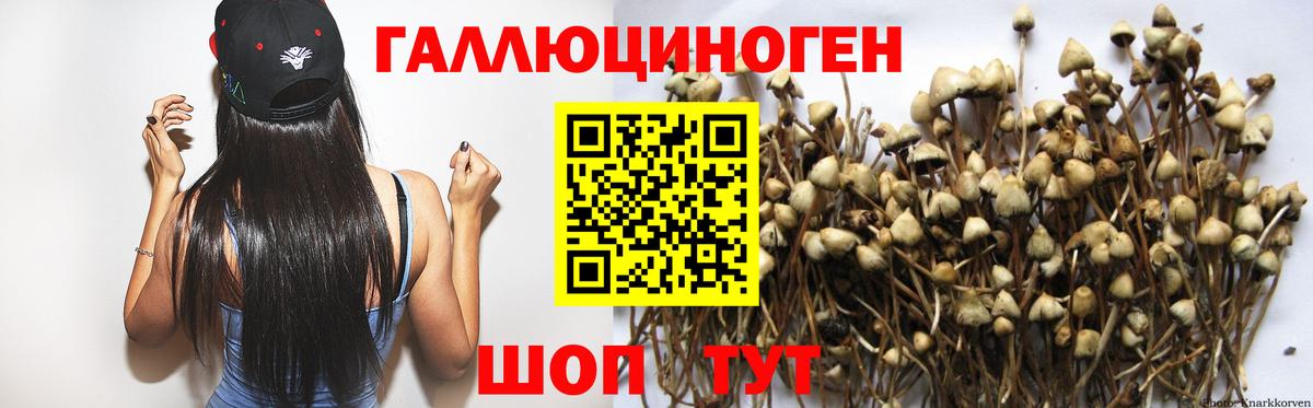 Псилоцибиновые грибы GOLDEN TEACHER  Псилоцибиновые грибы Magic Shrooms  купить  цена  Вход с VPN  Дюртюли 